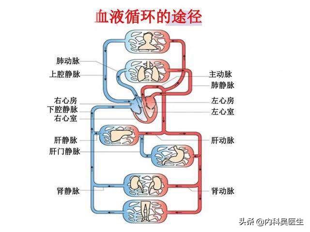 心衰患者做好以下“五点”，可以大大减轻水肿、呼吸困难等症状