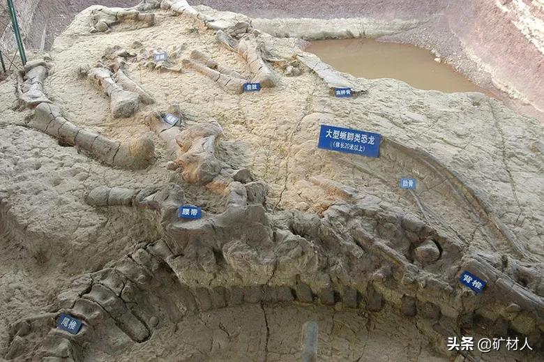 中国39个世界地质公园,中国39个世界地质公园名录