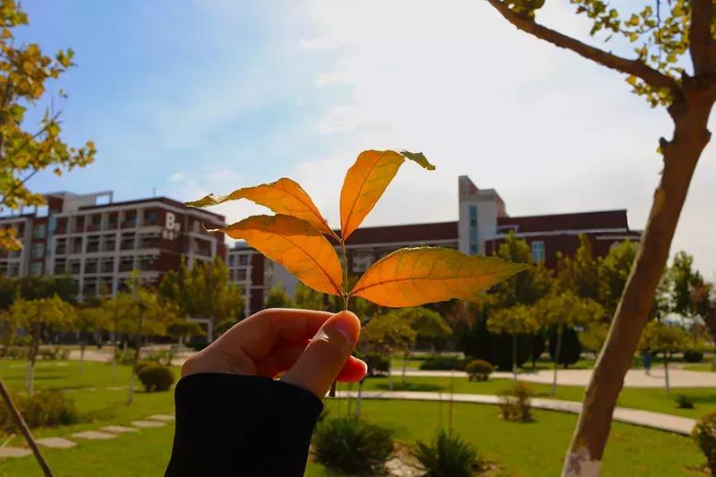 天津医科大学七所直属医院,天津医科大学独立学院是几本