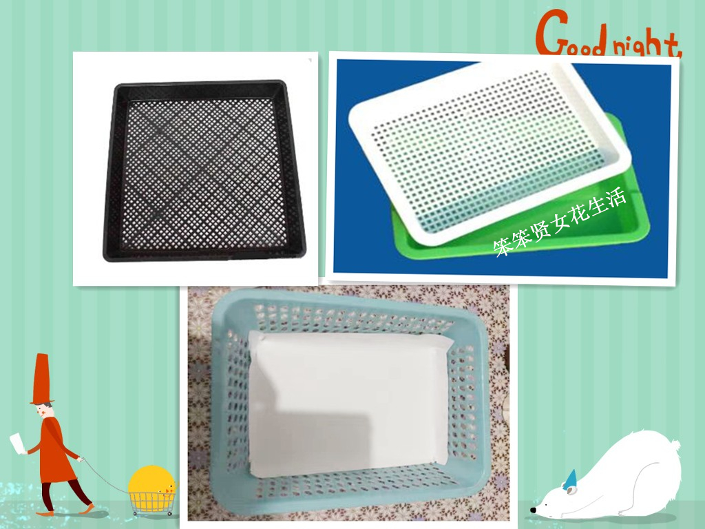 豌豆芽苗菜种植全过程,豌豆芽苗菜种植的成本及利润