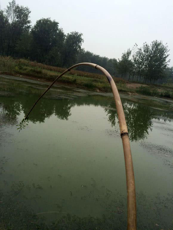 自制竹子鱼竿怎么装线,由竹子自制鱼竿方法视频