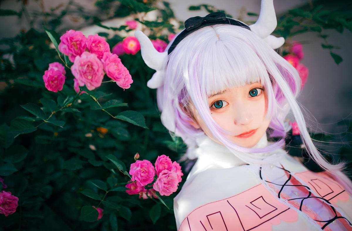 想当coser必须要必备哪几个条件,专业coser怎么当