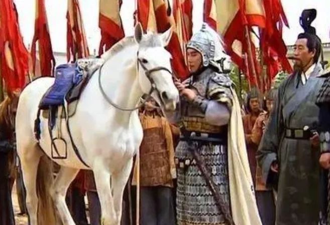 白马踏雪山金正恩座骑大有来头｜除了帅气人类为何钟情白马？