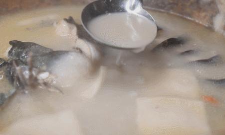 云南特色蒸汽石锅鱼什么鱼最好,特色美味云南蒸汽石锅鱼