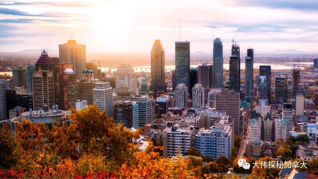 加拿大的价值观,加拿大的价值观是什么