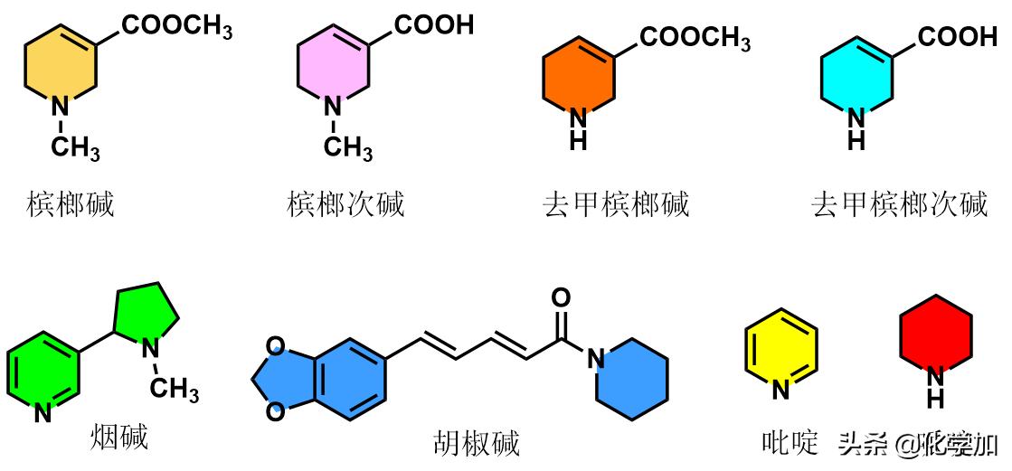 治病名药VS致癌魔丸——争议的双面槟榔