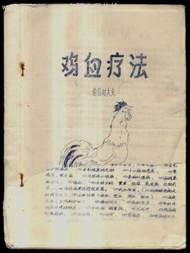 鸡血疗法治什么病最好,鸡血疗法狂热年代的神奇秘方