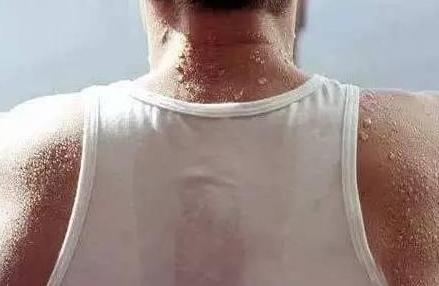 牛油果减肥期间怎么吃合理,牛油果有减肥效果吗能吃吗