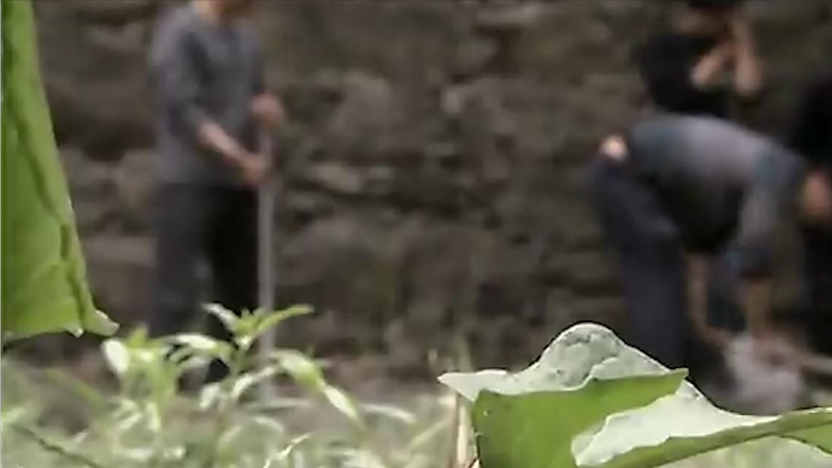 老人因做梦家中挖出鱼泉,老汉托梦掘地16米挖出鱼泉