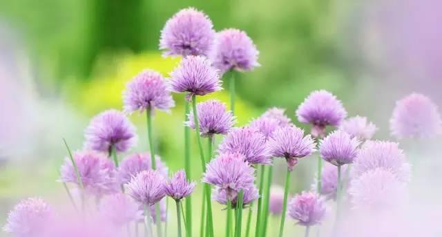 一个女公务员的感悟,如何做一名合格的基层女干部