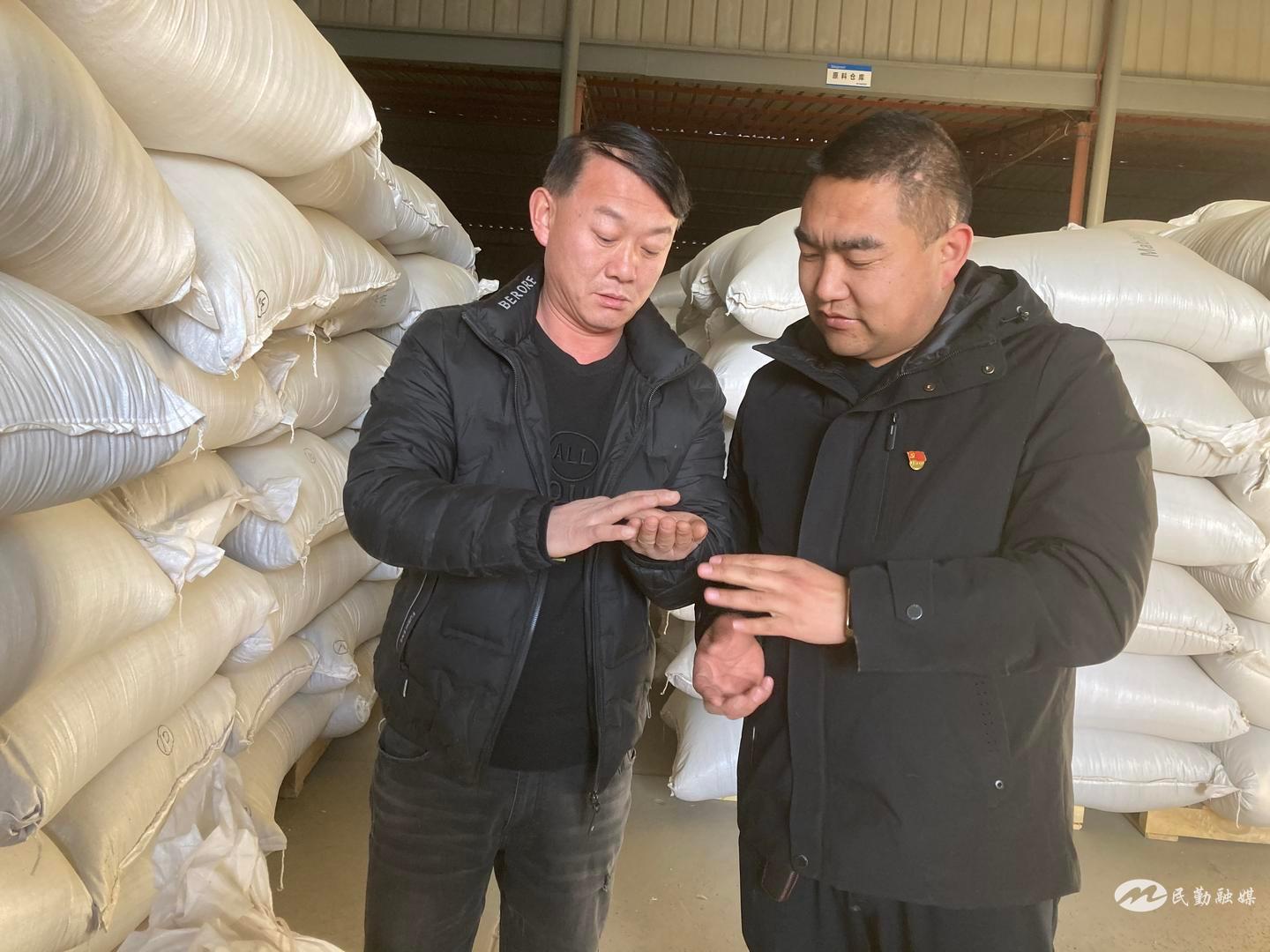 民勤县东湖镇：茴香产业“敲”开村民致富门