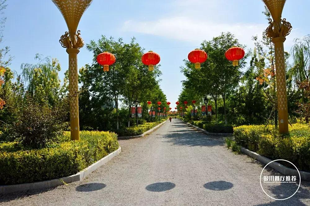 银川清真的农家乐烤全羊哪家好吃,银川烤全羊的海鲜自助推荐