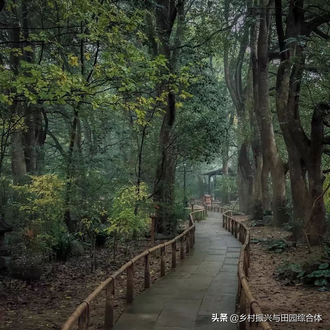 古朴悠然的禅意小镇,半农学院