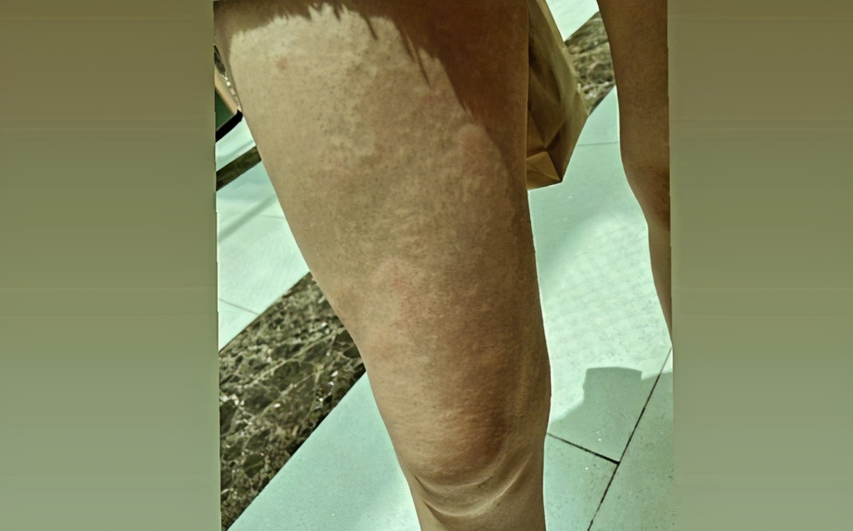 tvb灏忚姳鍜屾睙鍢夋晱,灏忚姳姹熷槈鏁弔vb