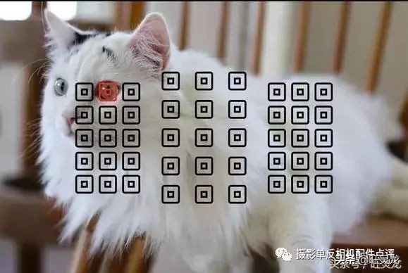 佳能相机80d哪一年发布的,佳能80d值得入手吗有几种滤镜