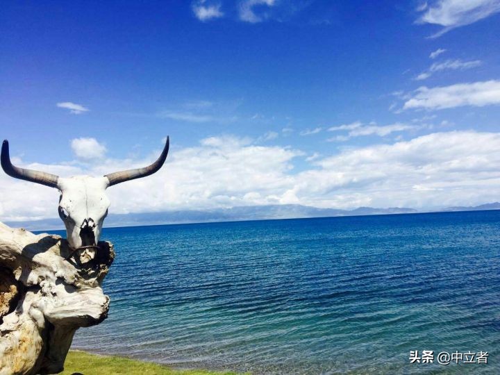 切糕为什么那么贵视频,路边的切糕多少钱