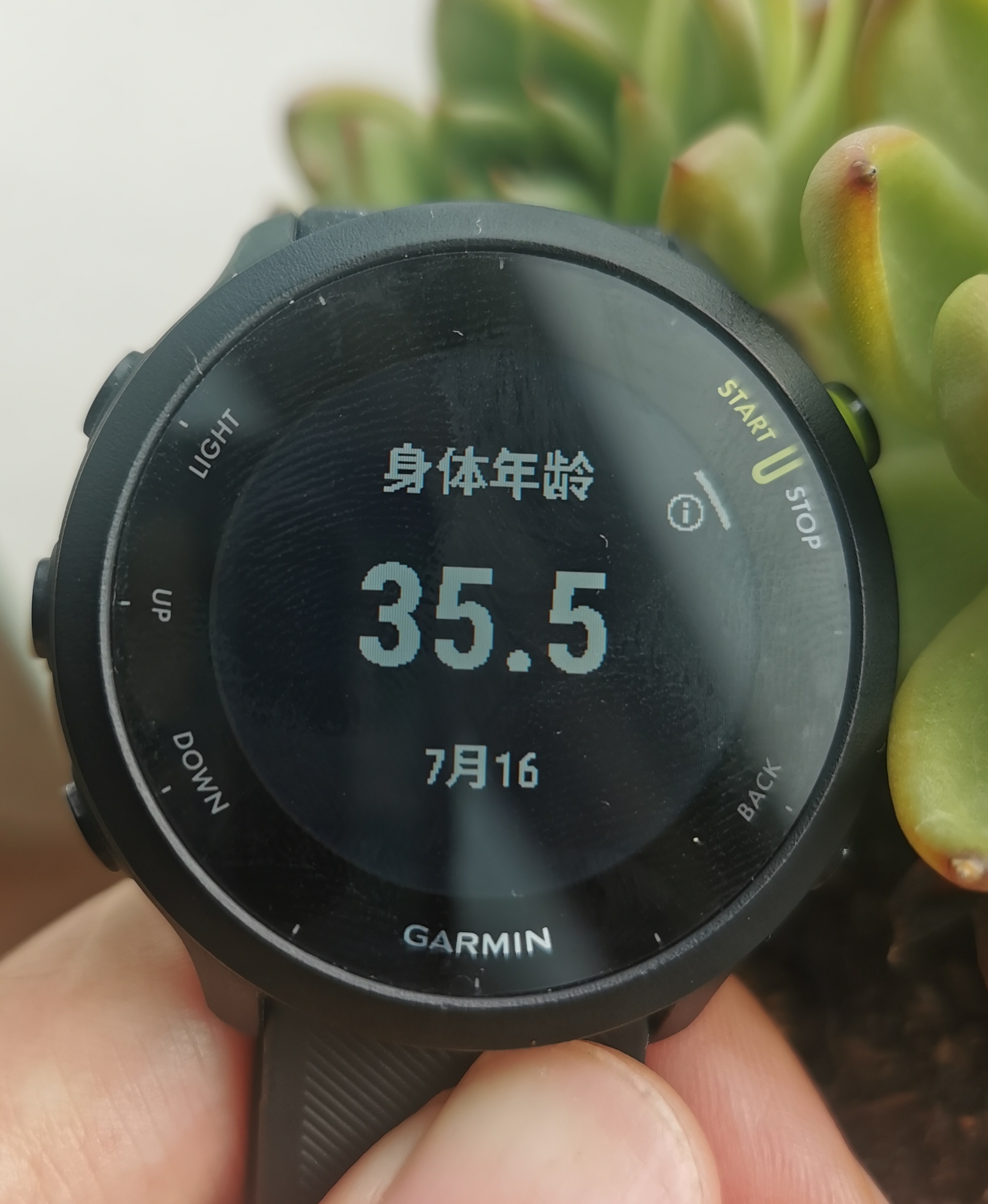 佳明forerunner哪款运动手表好,佳明手表forerunner965