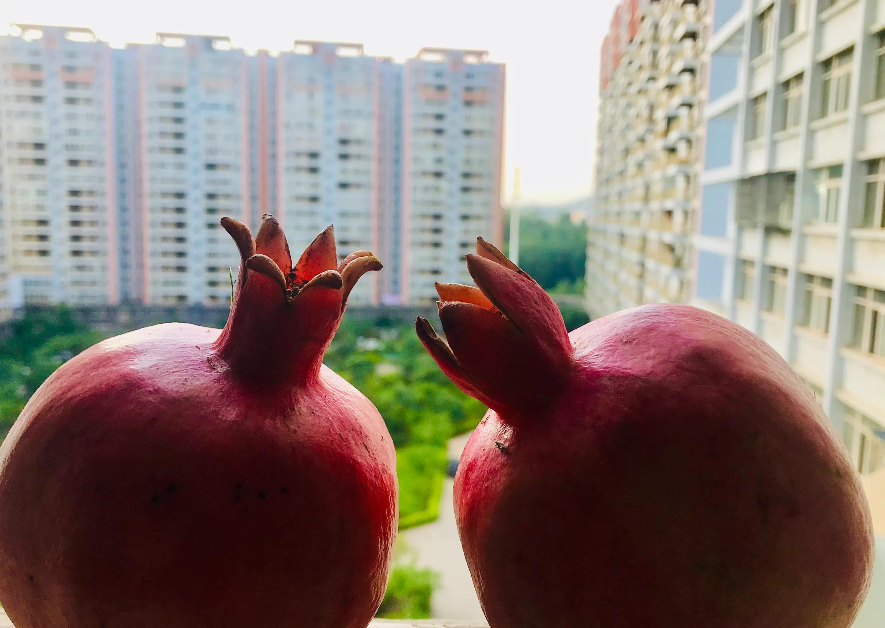 在老挝的幸福小日子,记录在玉溪的日子