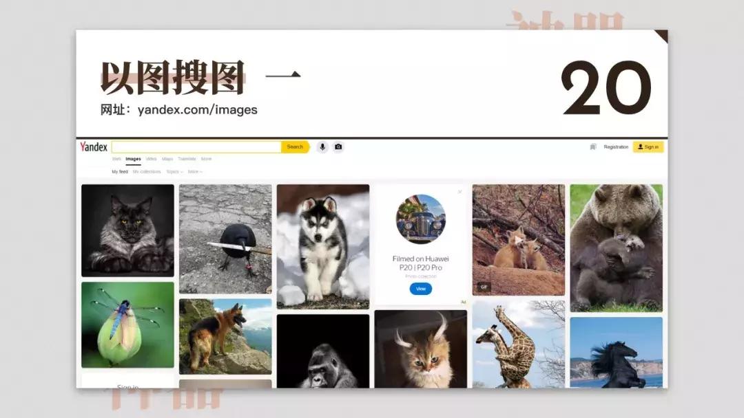 免费设计网站神器,免费设计神器测评网站