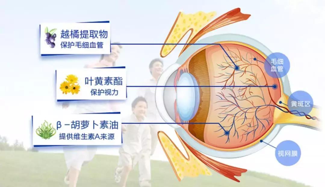 媲美双11！99划算节值得买Top20