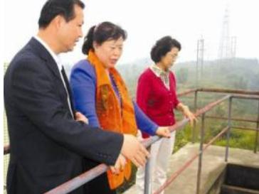 山西女富豪丁书苗落幕：从农村卖鸡蛋，到被罚25亿，她做了什么