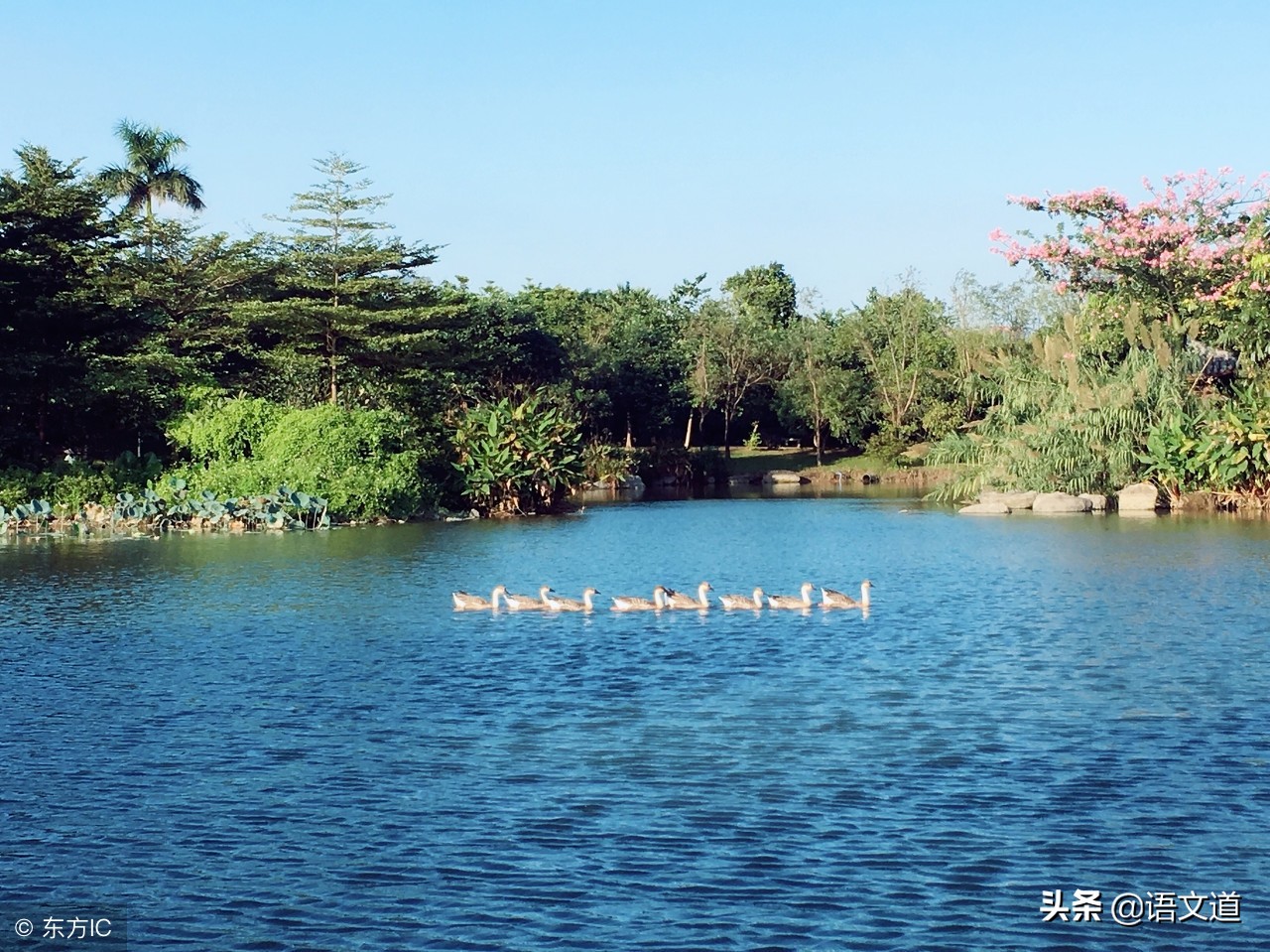 唐诗王昌龄青楼曲二首,唐诗王昌龄