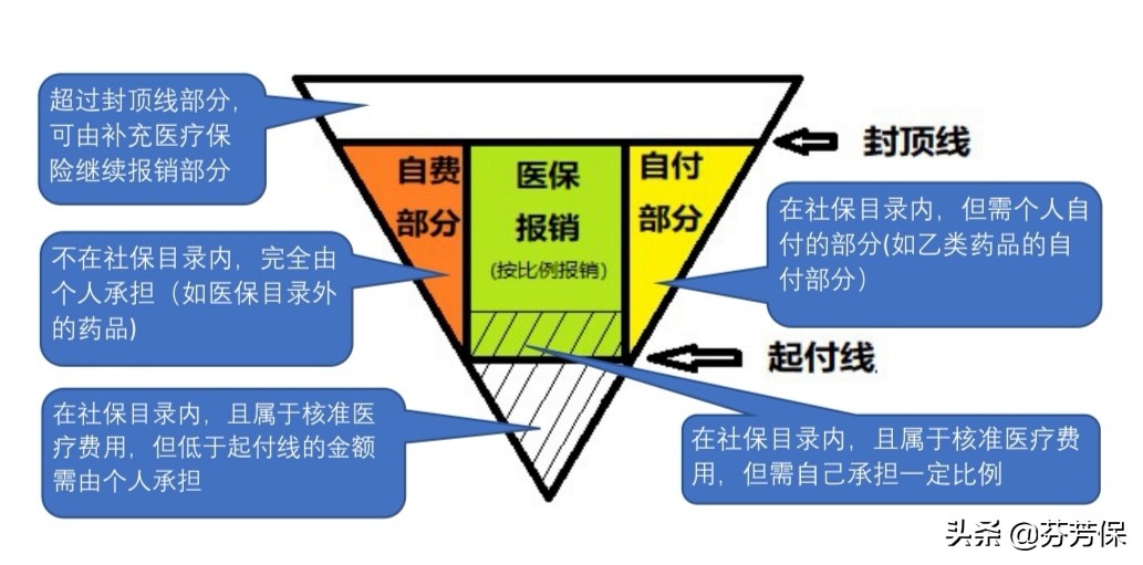 医保缴费多少年怎么查询,医保用药知多少