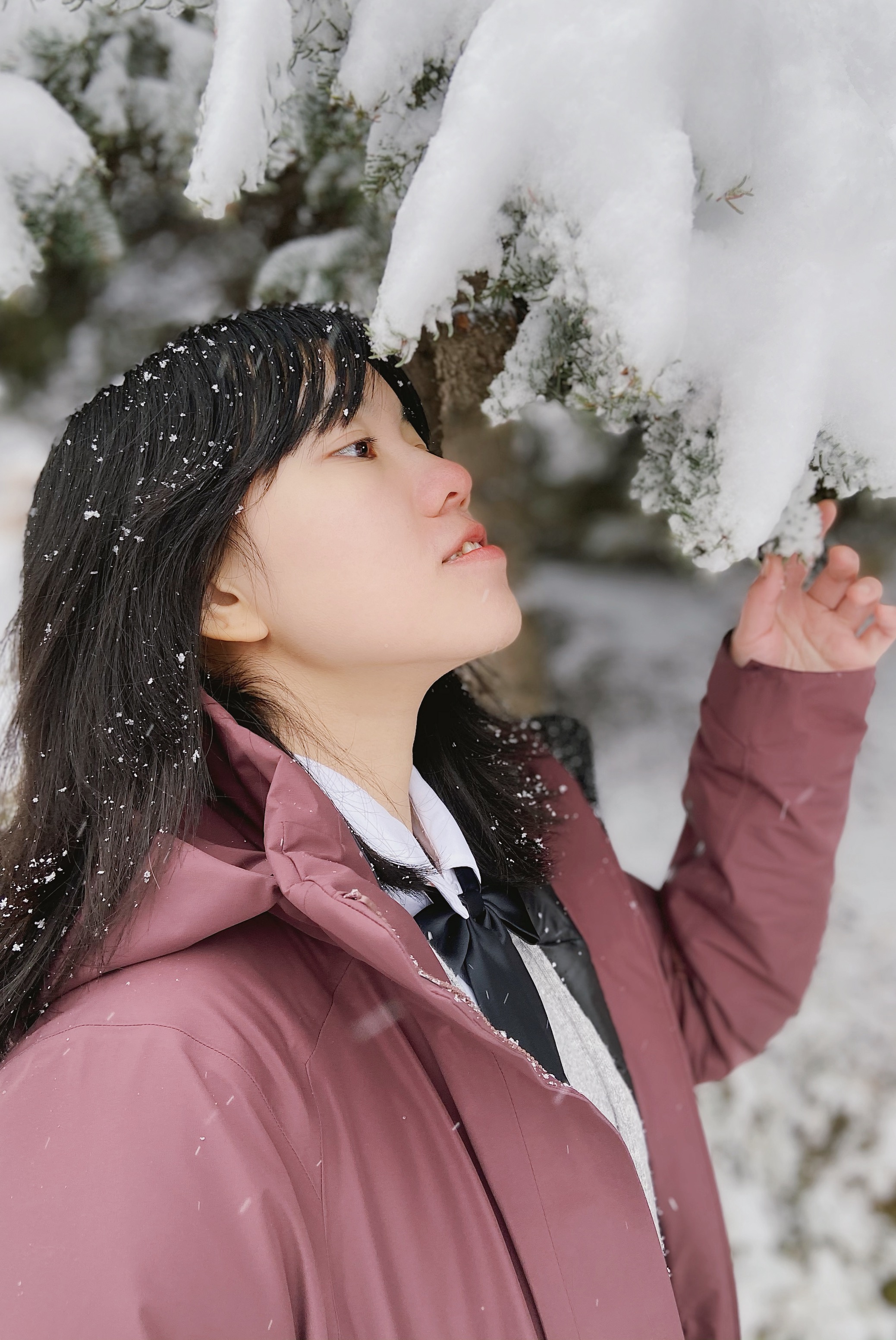 macai始祖鸟是硬壳还是软壳,始祖鸟macai滑雪测评