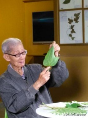 二胎母乳喂养的正确方法,喜提二胎报喜