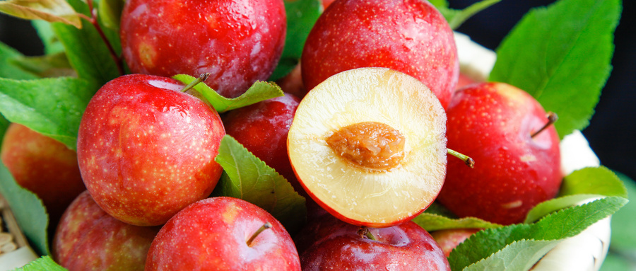 核果类水果的好处,核果类的水果有哪些