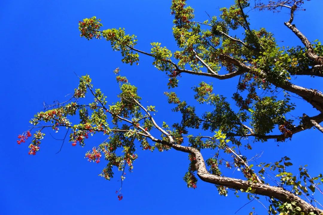 被亲妈嫌弃,被亲妈嫌弃了