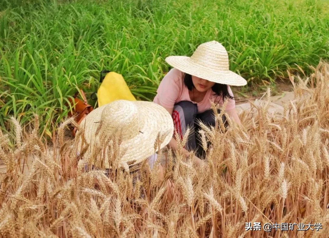 听好了!今天我们要夸矿大!