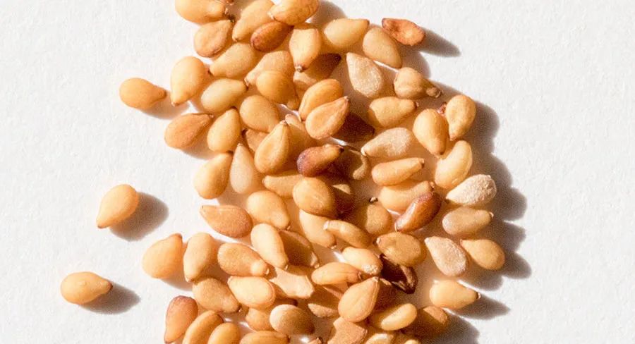 太苦了太苦了，背后长痘的女生都太苦了