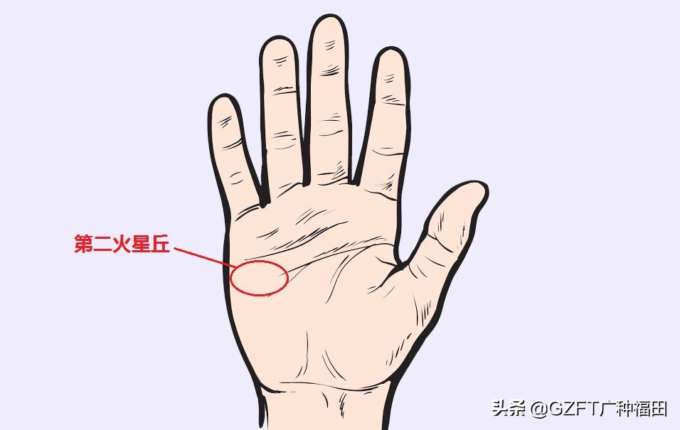 5分钟学会看手相,如何从零开始学会看手相