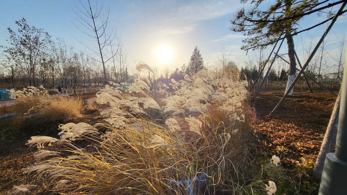 三星zfold35g测评,三星折叠屏zfold3