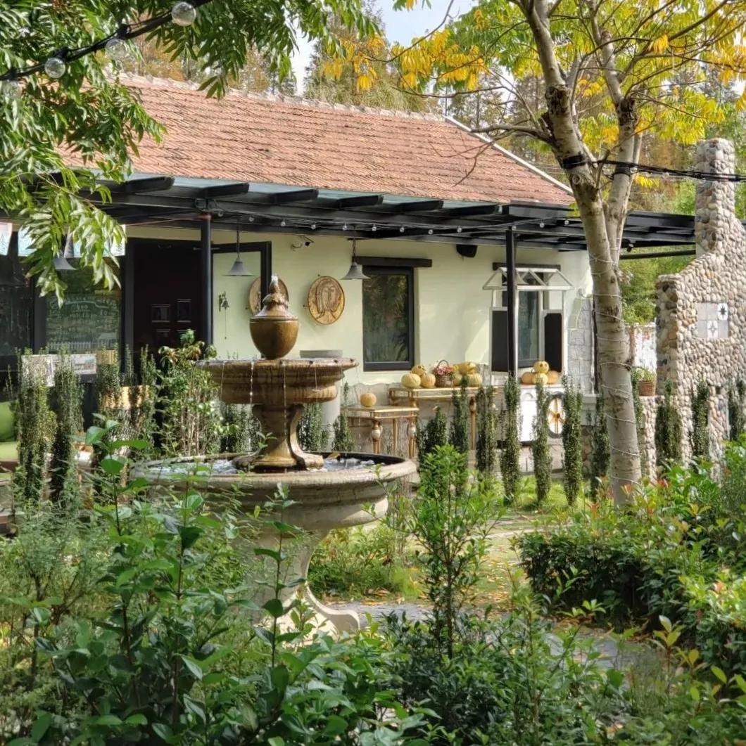 农村新型果园6亩赚钱方式,果园农场怎么赚钱