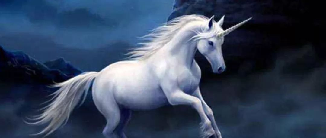 最厉害的蚂蚁金服,最纯正的蚂蚁金服概念