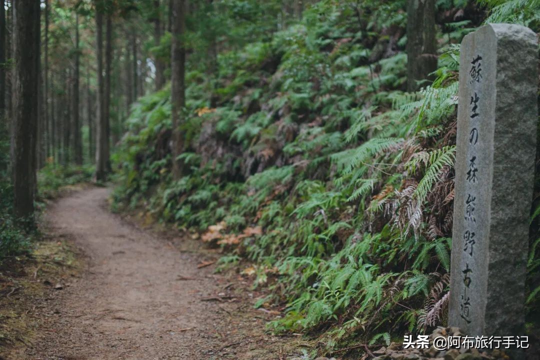 日本熊野古道拍摄,摄影师镜头下的景区