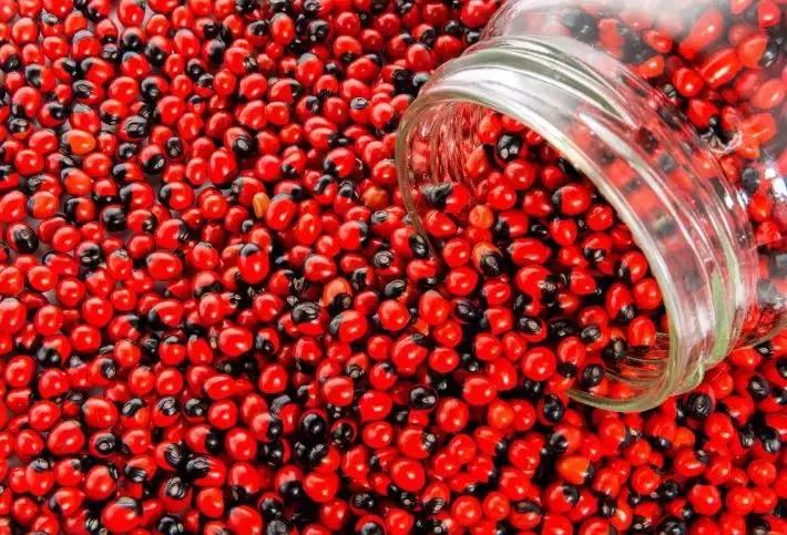 央视曝光身上带这种东西会致癌,白送都不能要的东西