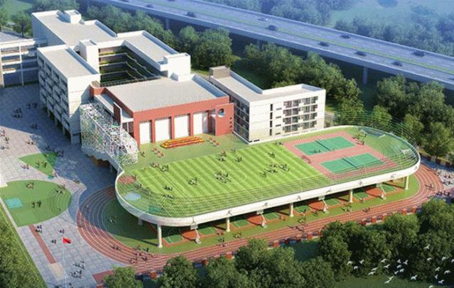 南山区外国语学校（集团）VS太子湾育才、深圳湾学校孰优孰劣