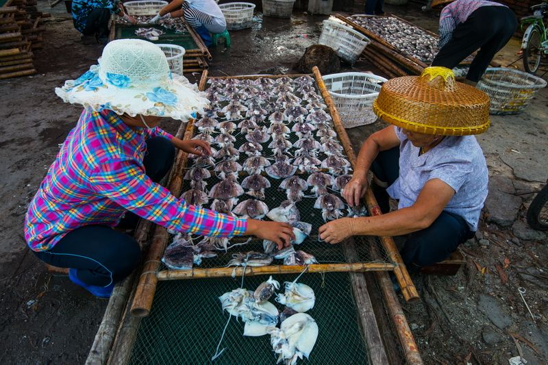 什么养殖一斤100元都还不愁销路,暴利养殖业50元一斤