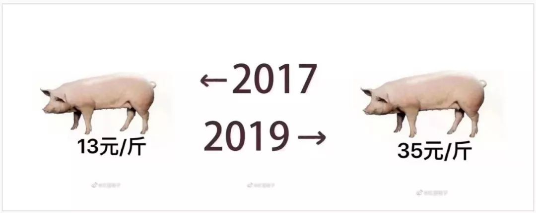 被2017到2019刷屏,朋友圈被2017到2019刷屏了