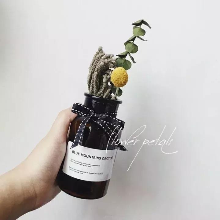 她用这种高颜值的干花装饰家里,隔壁邻居都惊叹不已