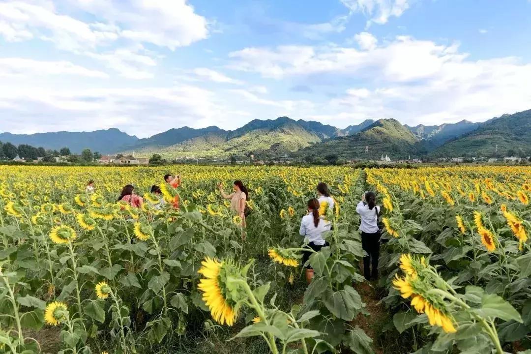 西安市最贫穷的区县,西安各区人眼中的区域