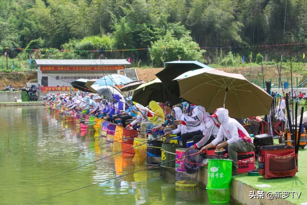 山水田园生态旅游节,山水文化旅游节图片