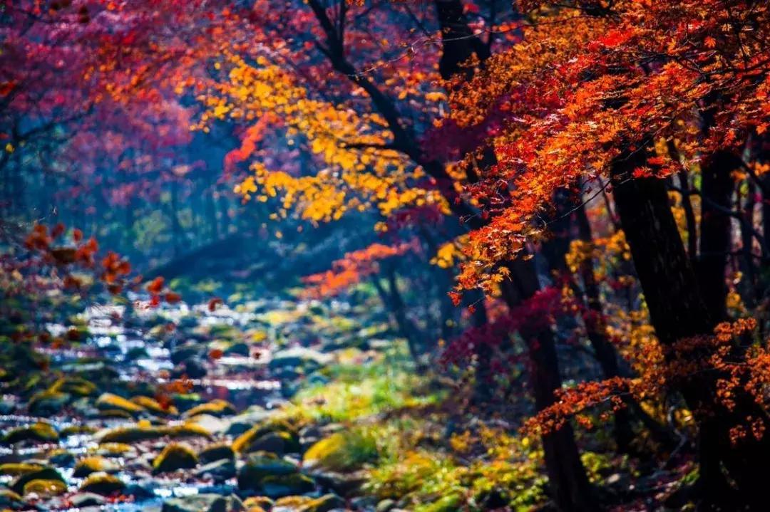 10月旅行地推荐最适合初秋出游,10月最适合慢慢旅游的地方