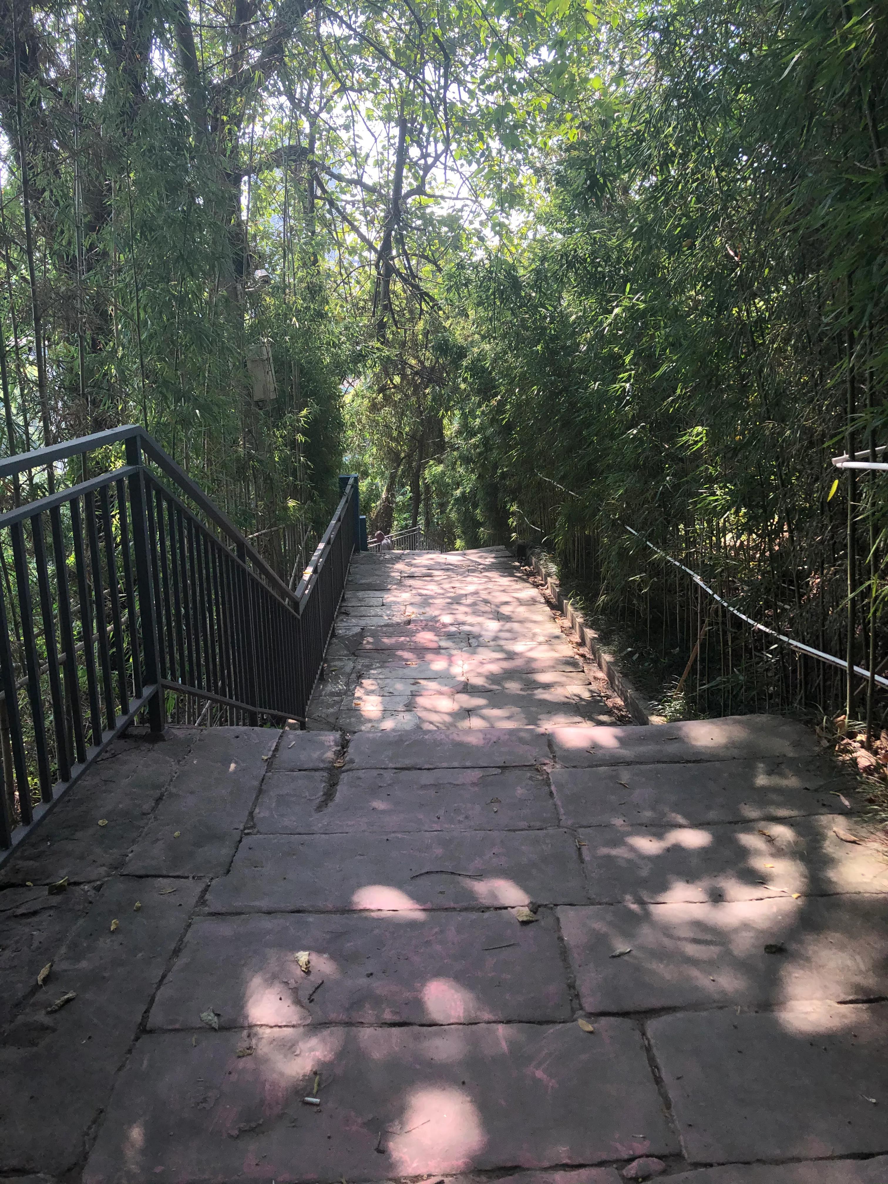 婕閲嶅簡瑙嗛,婕閲嶅簡