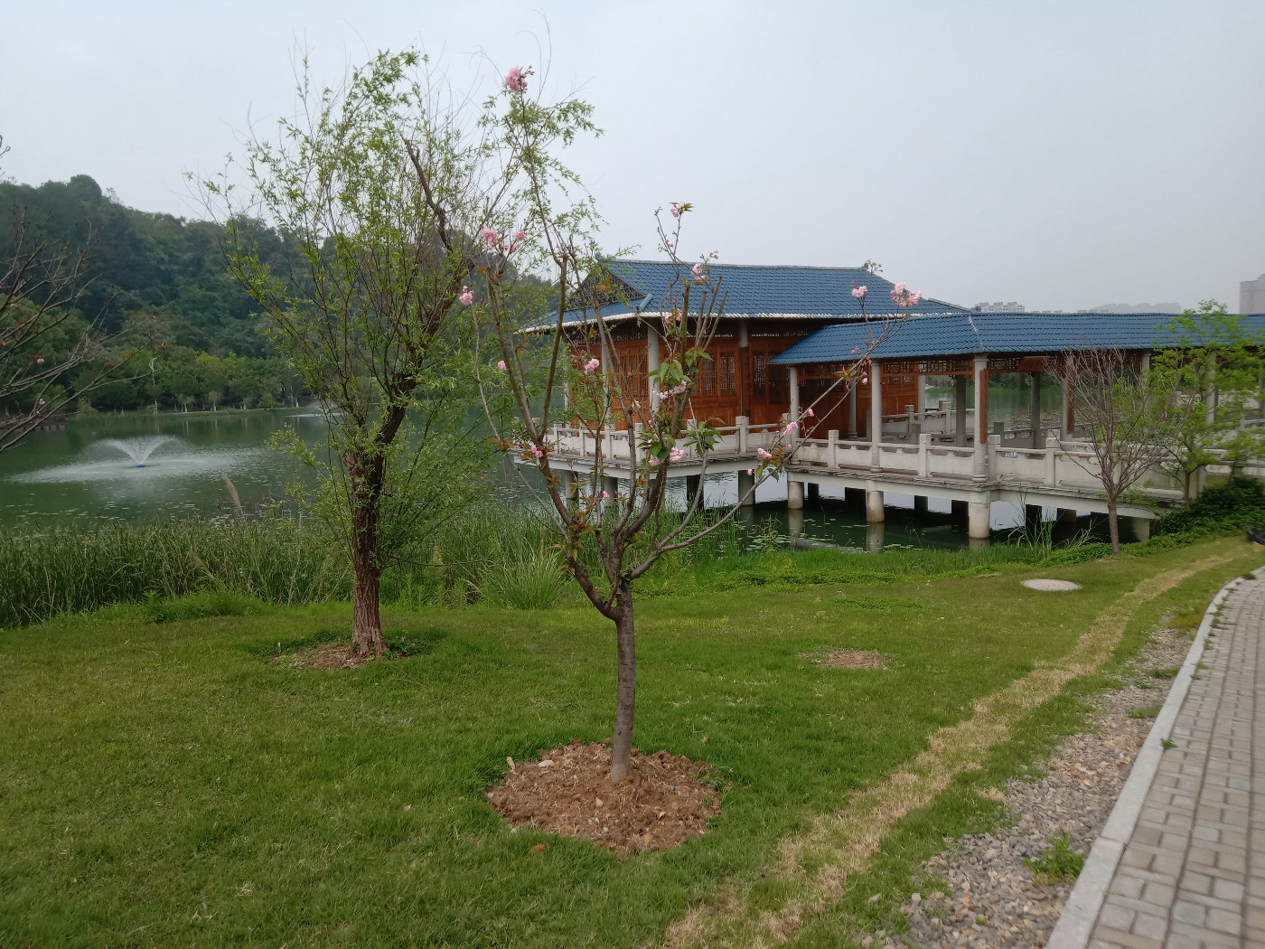 福州大学就像一座大公园，风景美到爆！最美的世界一流学科院校