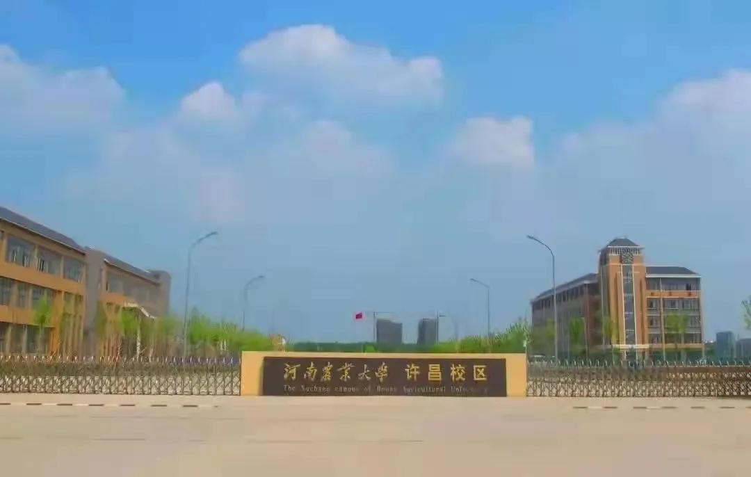 @小21，返校攻略，看这一篇就够了