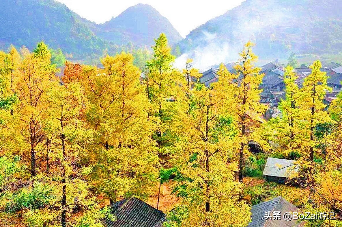 广西乡下田园最美风景图片,广西十大最美风景区